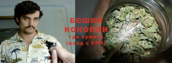 дурь Осташков