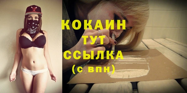 дурь Осташков