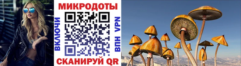 Галлюциногенные грибы MAGIC MUSHROOMS  Купить  Нытва 